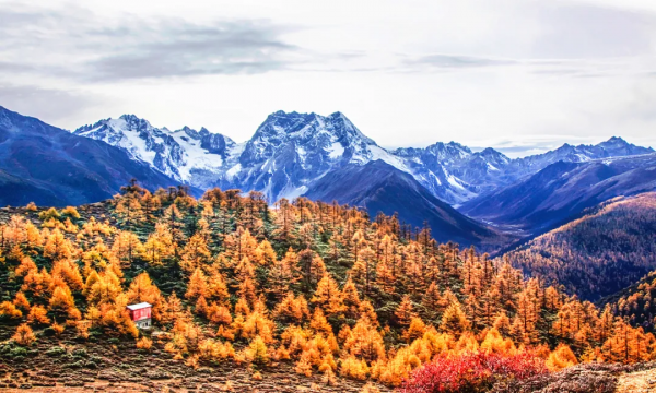 沿途皆如天堂!這10條深秋路線,去過一半就邂逅中國大半的美 沿途皆如天堂!這10條深秋路線,去過一半就邂逅中國大半的美