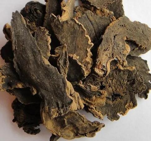 中藥古今研究：玄參