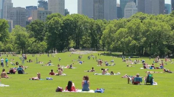 擁有了第一座“漂浮公園”的紐約，還是世界上最會建公園的城市