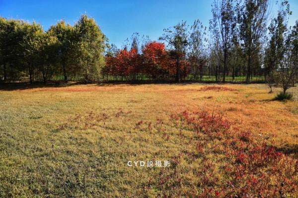 記錄南湖晚秋的色彩 記錄南湖晚秋的色彩