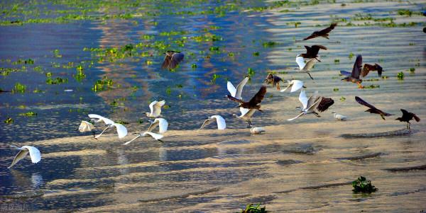 走進我國的島嶼