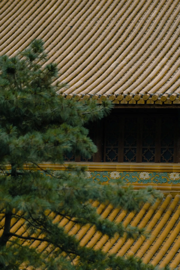 浩然之氣,源於初心 浩然之氣,源於初心