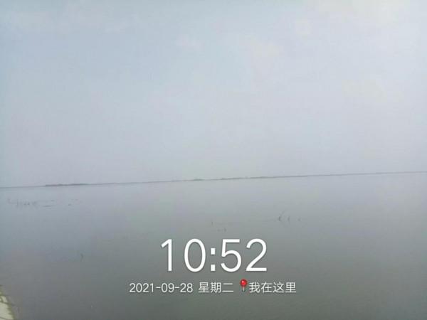 釣（之二 · 感於《江雪》）