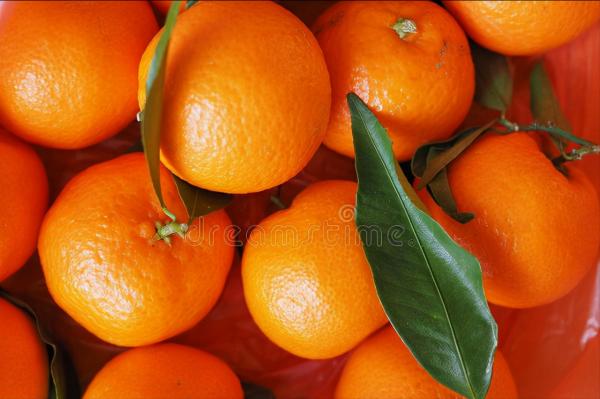 懂行人買橘子，不看個頭大小，只看這4點，個個皮薄肉厚又多汁