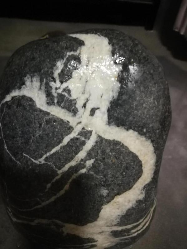 奇石的未來 奇石的未來