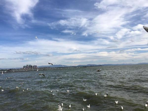 春節想出去自駕遊玩的小夥伴趕緊看這裡