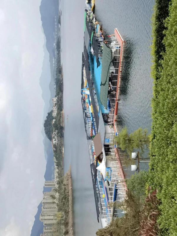 千島湖：走進秋天裡，遇見美好秋色