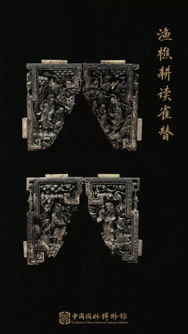 同行八載，中國園林博物館與我們共度春秋