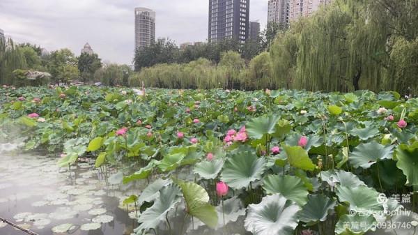 【五律•語遲則人貴】