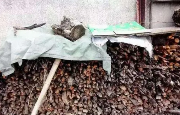 文物專家花1800元，從山東農民家買2捆柴火，如今成國寶禁止出境