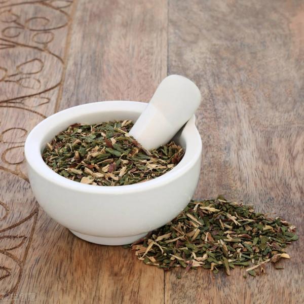 中藥半月談丨側柏葉 中藥半月談丨側柏葉