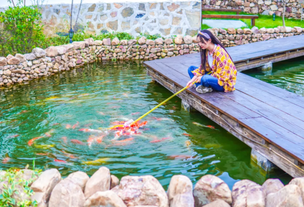 漫步鄉村，慢生活······