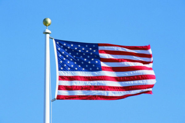 美國“送”給荷蘭的月球岩石是假貨？月岩變木化石，玩笑開大了