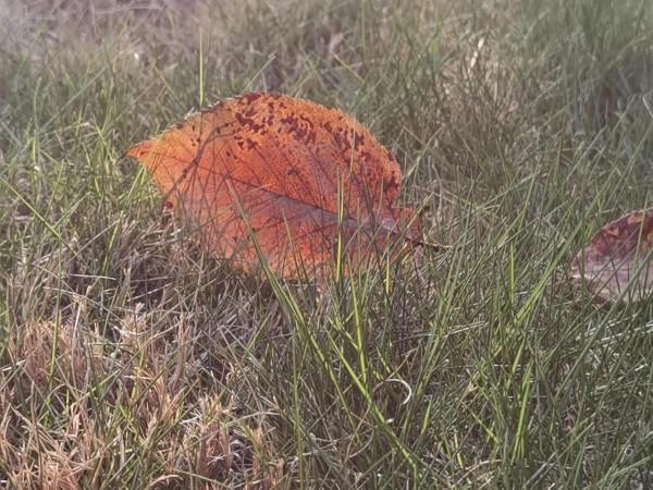 幫人買房,我成了被告 幫人買房,我成了被告