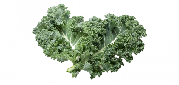 輕食乾貨！蔬菜基底科普大全，輕食創業蔬菜基底怎麼選？