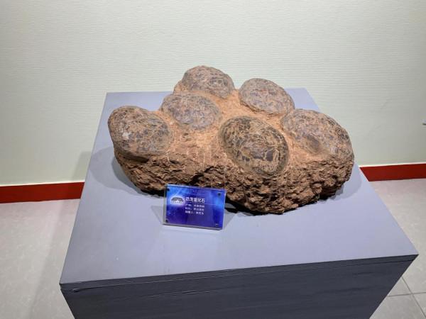 遊～山西地質博物館