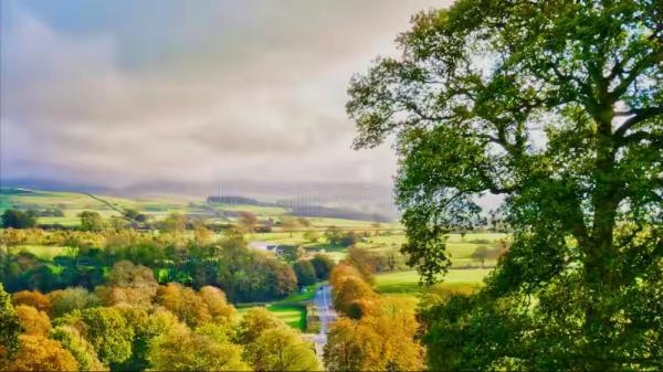 我在麻將館一時貪圖快樂,沒想到給自己惹了大麻煩 我在麻將館一時貪圖快樂,沒想到給自己惹了大麻煩