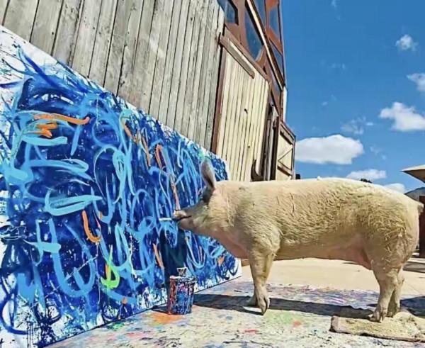 藝術豬生，可以說是豬生巔峰