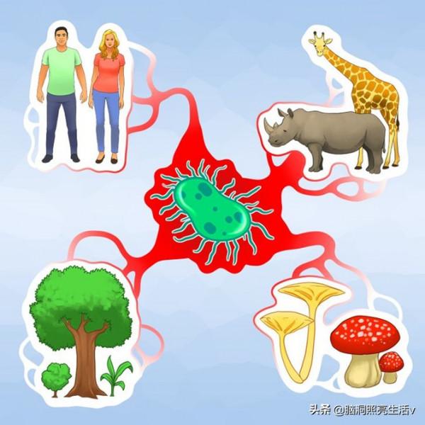 和人體密切相關，但卻讓大多數人都不瞭解的9個冷知識