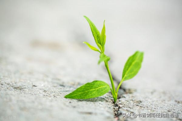 孩子,無論多難,請告訴自己,再堅持一下 孩子,無論多難,請告訴自己,再堅持一下