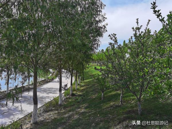 漢EV自駕新疆伊犁，一個人獨自玩耍，逛鞏留縣的蝶湖景區