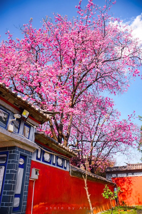 預測！2022必火的自駕旅行清單！先收藏