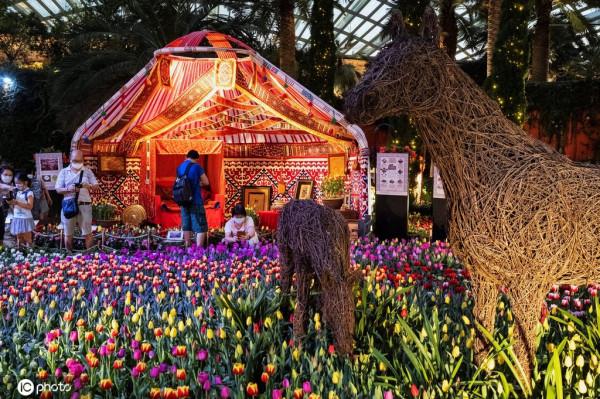 新加坡濱海灣花園舉行鬱金香花展 鮮花婀娜多姿