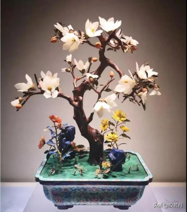 這些盆栽要是家裡能有一盆，賊有面子