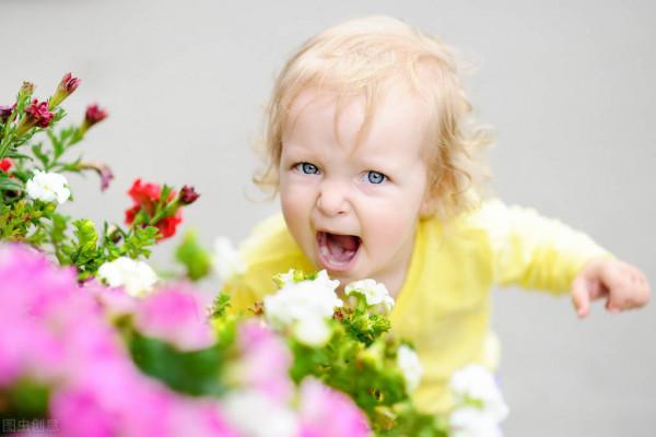 《全腦教養法》如何教會孩子自我控制整合上下腦? 《全腦教養法》如何教會孩子自我控制整合上下腦?