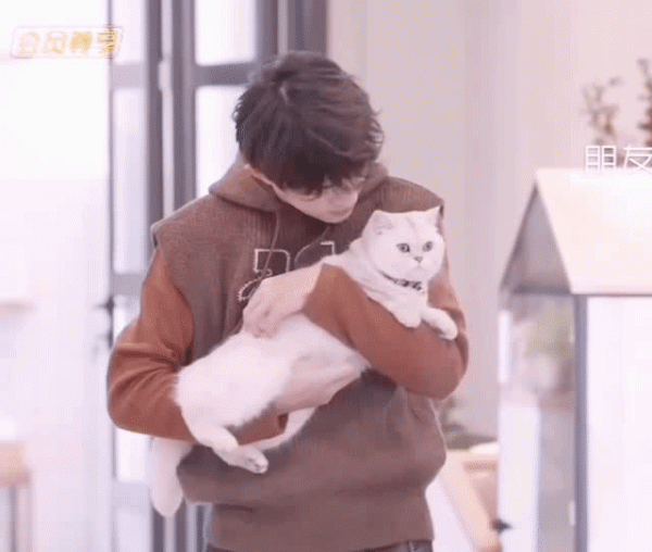 男明星的溫柔與寵溺都給了萌寵,好羨慕 男明星的溫柔與寵溺都給了萌寵,好羨慕