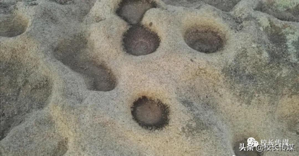 聶延力:悠遠歷史 赤誠老人 聶延力:悠遠歷史 赤誠老人