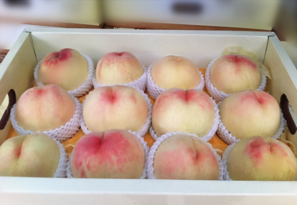 江蘇大叔發明出&quot;懶人種桃法&quot;，種出一斤半&quot;桃王&quot;，一個桃達125元