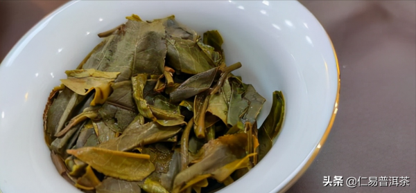 來自大益吳遠之腦溢血的思考,普洱茶與六大茶類是良藥還是惡魔 來自大益吳遠之腦溢血的思考,普洱茶與六大茶類是良藥還是惡魔