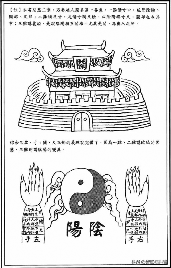 《漫畫版八十一難經》第三難：何謂脈象的&quot;太過&quot;與&quot;不及&quot;？