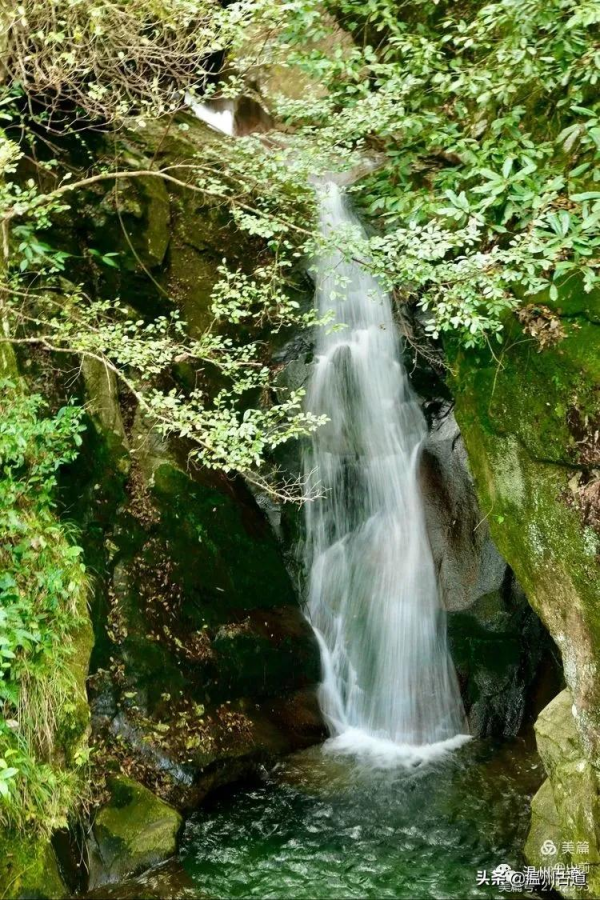 這條被譽為“浙江西南第一嶺”的紅楓古道你去過嗎？