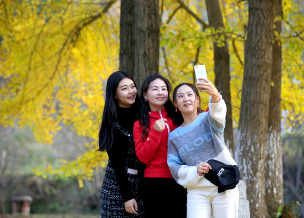 一不小心，闖入了3000年的秋~