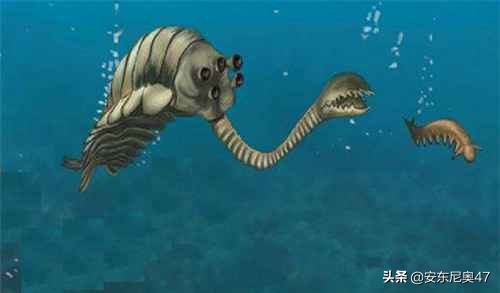 寒武紀生物介紹——歐巴賓海蠍 寒武紀生物介紹——歐巴賓海蠍