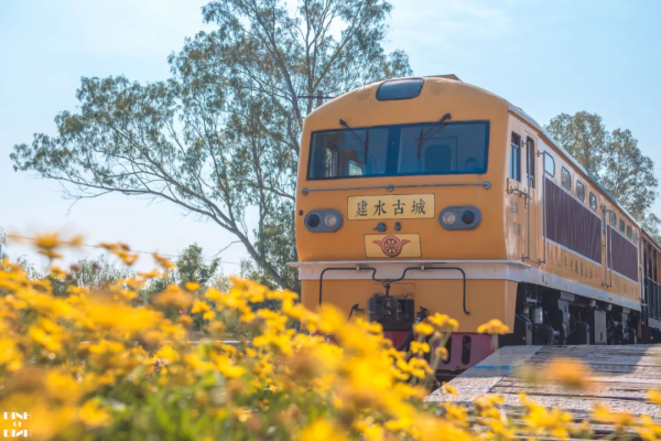 曾破吉尼斯世界紀錄！80萬畝花海齊綻放！這裡藏著國內最早的春天