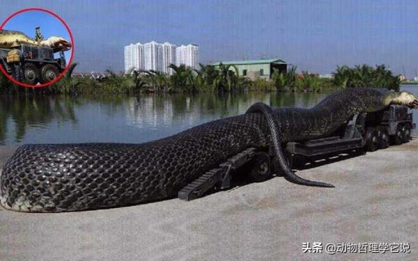 5種滅絕的遠古巨獸，科技還原讓我們來見識下