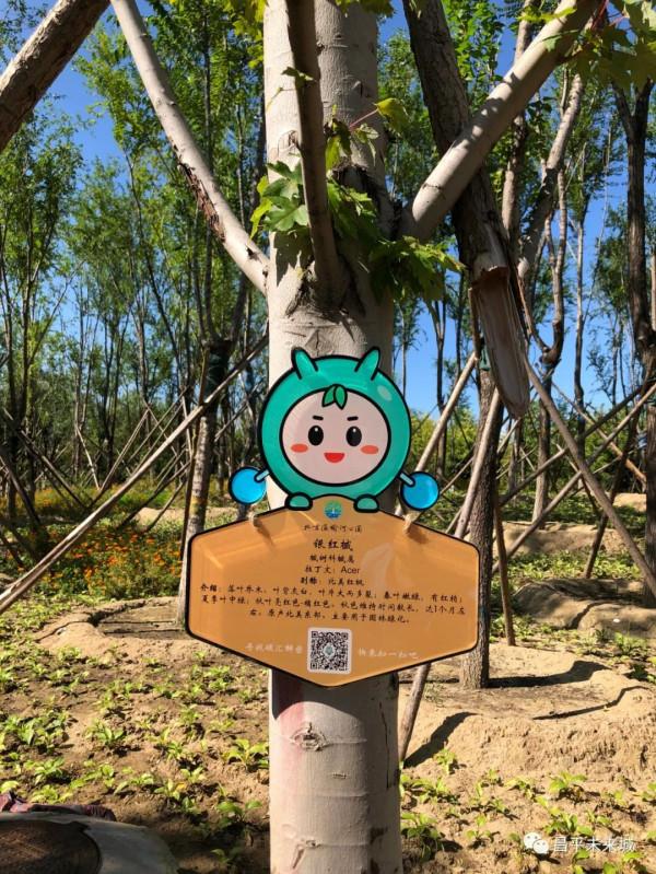 首次曝光！溫榆河公園昌平一期探秘，實在太美了