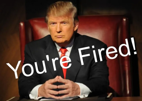 澳洲10歲女童開公司當老闆營業額破百萬！網友：先看看她爹媽吧