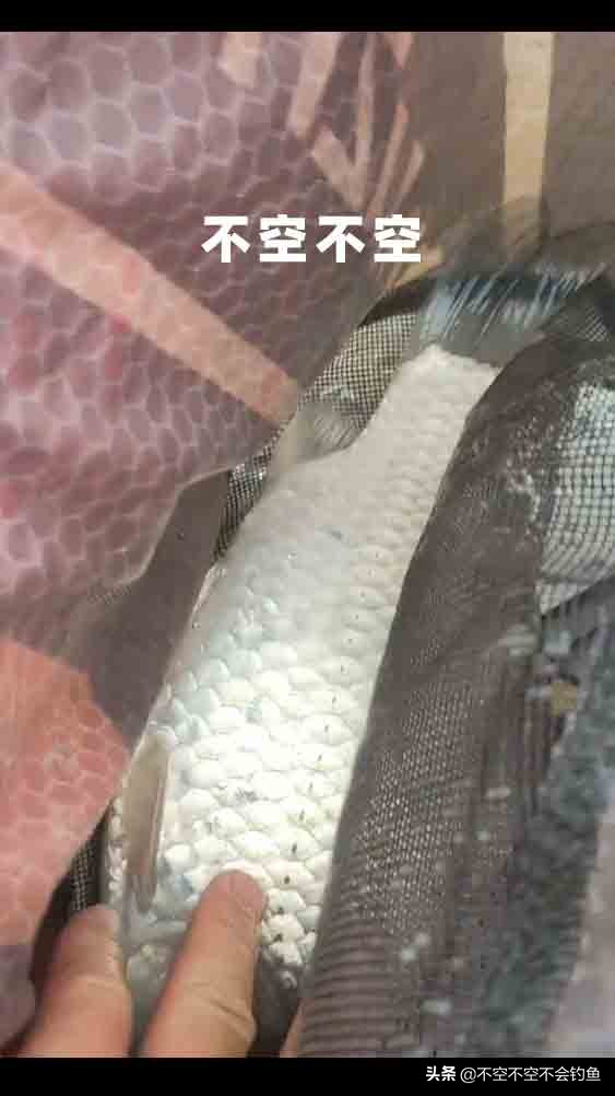 64個大板鯽之三千字帶你深度還原冬季尋鯽之旅