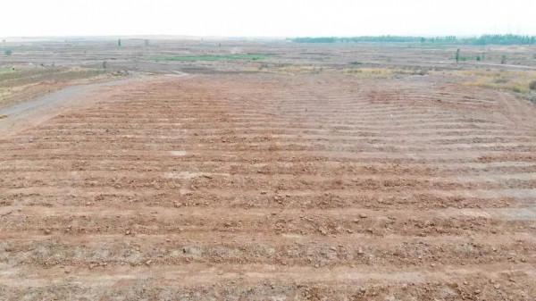 花三年時間拍攝種枸杞，他們用9353份影像記錄現實版“山海情”