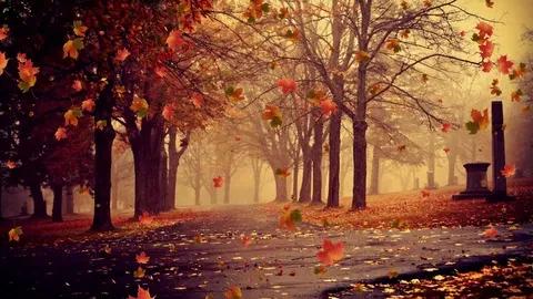 《中秋賦》 《中秋賦》