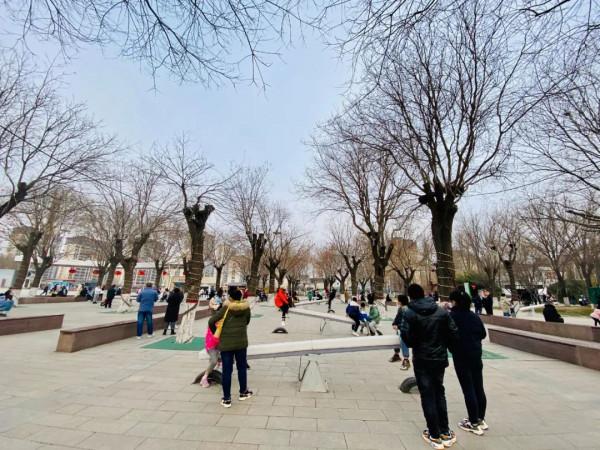 今日元宵丨來園博園賞景團圓兩不誤
