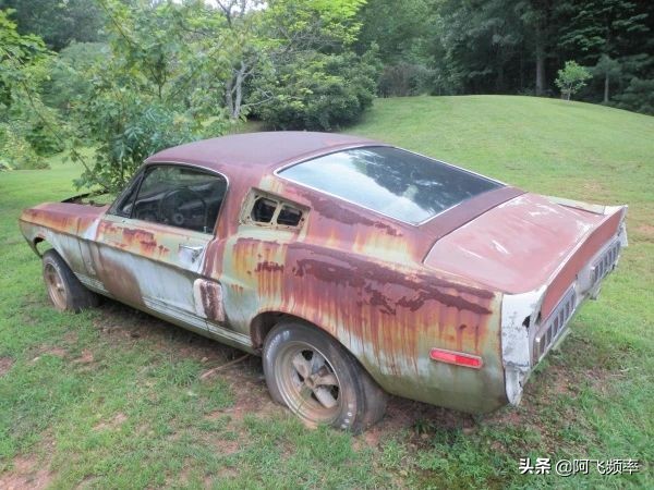 被遺棄的經典跑車 1967年謝爾比GT500被發現