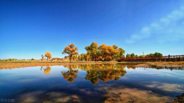 我的天堂胡楊林 我的天堂胡楊林
