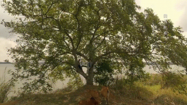 終於有部國劇,把醫生當普通人來拍 終於有部國劇,把醫生當普通人來拍