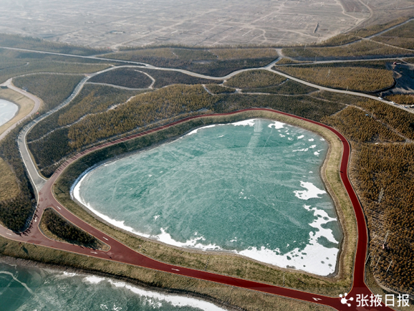 冬日的城市森林公園 美麗圖案如夢如幻
