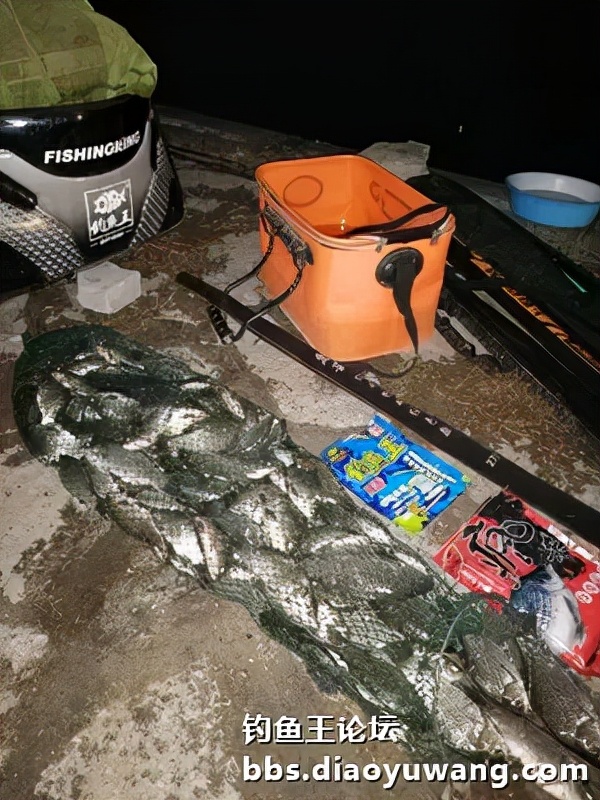寒潮風雨襲膠河，大板鯽魚護中來